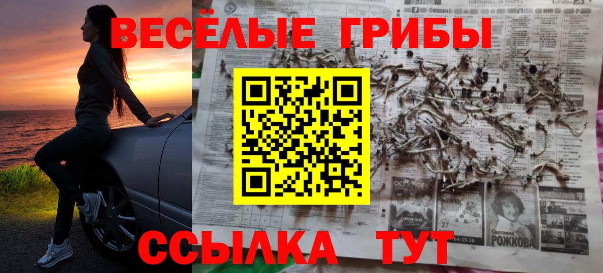 Галлюциногенные грибы прущие грибы  Галлюциногенные грибы мицелий  Конаково  Вход с VPN 